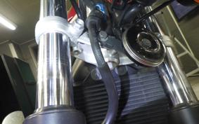 HONDA VTR 250 Gen. 2 2006 MC33