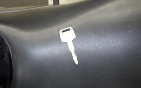 HONDA HORNET 250 2024 MC31