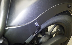 HONDA REBEL 250 S 2025 MC49