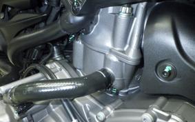 DUCATI MONSTER 937 SP 2024