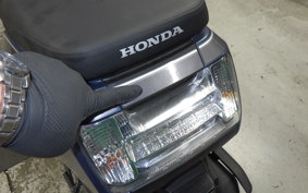 HONDA DUNK AF78