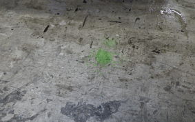 HONDA CB400SF 1993 NC31