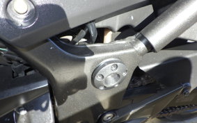 KAWASAKI NINJA 250R 2015 EX250K