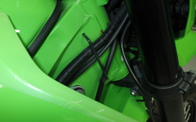 KAWASAKI KLX250 Gen.2 2023 LX250S