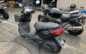 YAMAHA AKUSHI STREET SE53J