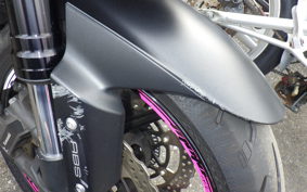 KAWASAKI Z1000 Gen.5 2017 ZXT00W