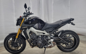 YAMAHA MT-09 2014 RN34J
