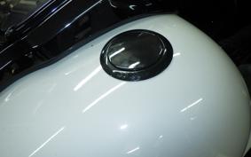HARLEY FLTRXSE1920CVO 2021