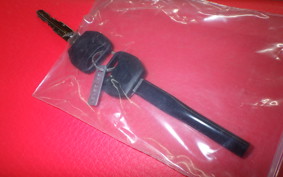 HONDA CRF250 GEN 2 RALLY MD47