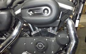 HARLEY XL883RI