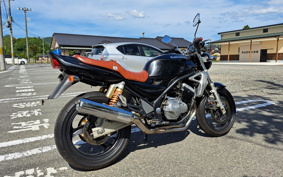 SUZUKI GSX250 ZR250C