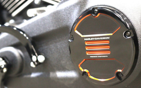HARLEY FXLRS 2025 YWZ