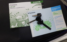 HONDA LEAD 110 2026 JF19