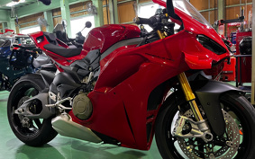 DUCATI PANIGA-REV4S 2025 5D00