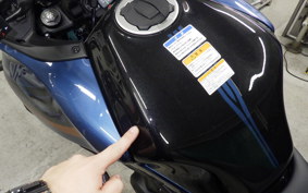 KAWASAKI VERSYS A 2025 LE650H
