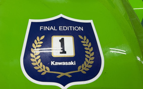 KAWASAKI ZRX1200DAEG FE 2016 ZRT20D