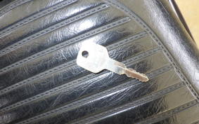 KAWASAKI ELIMINATOR 250 LX EL250A