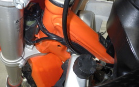 KTM 65 SX 2024