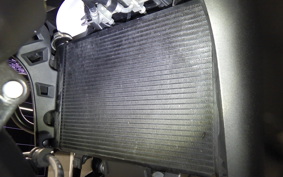 SUZUKI Vｽﾄﾛｰﾑ650XTA 2019 C733A