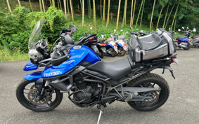 TRIUMPH TIGER 800XRX 2016 TRE538
