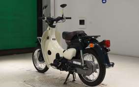 HONDA LITTLE CUB E AA01