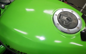 KAWASAKI ZZ-R250 2015 EX250H
