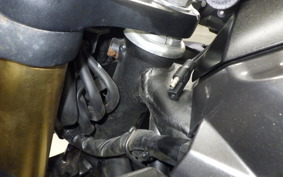 HONDA CBR250RR