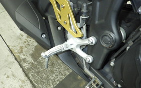 YAMAHA YZF-R25 2019 RG10J