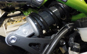 KAWASAKI Z900 Gen.2 2021 ZR900B