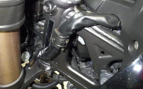 HONDA CB250RA 2024 MC52