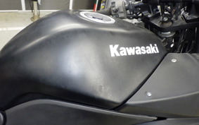 KAWASAKI NINJA 250R 2020 EX250K
