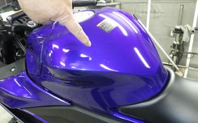 YAMAHA YZF R-3 2024 RH21J