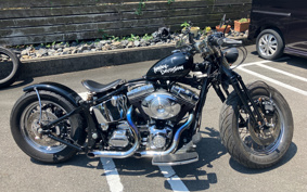 HARLEY FLSTC 2004 BJY