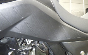 SUZUKI Vｽﾄﾛｰﾑ800 2024 EM1BA