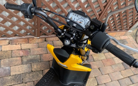 HONDA ZOOMER-X JF52