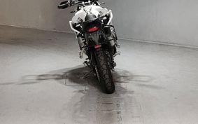 TRIUMPH TIGER 900 RALLY PRO 2021 TRE67D