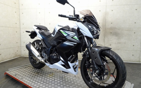 KAWASAKI Z250 ER250C