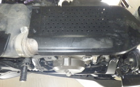 HUSQVARNA SVARTPILEN 401 2024