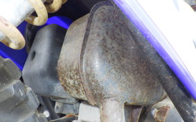 YAMAHA PW50 2025 3PT