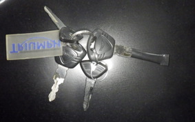 TRIUMPH DAYTONA 675 R 2015