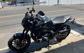 YAMAHA MT-09 ABS 2024 RN69J