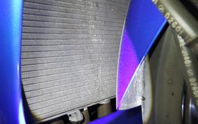 HONDA CBR1100XX 1998