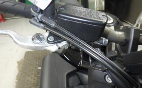 HONDA CB650R 2024 RH17