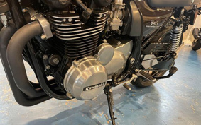 KAWASAKI ZEPHYR 750 2007 ZR750C