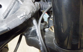 OTHER +ENFIELD ﾒﾃｵ350 2024