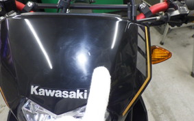 KAWASAKI KLX230 SM 2022 LX230A