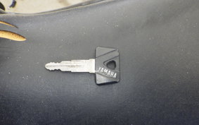 YAMAHA FZR250 2025 2KR