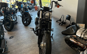 HARLEY FXBB 2020 YJJ
