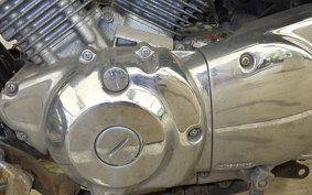 YAMAHA VIRAGO 250 2024 3DM