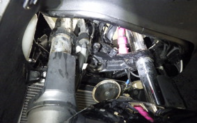 KAWASAKI NINJA 250 ABS EX250L